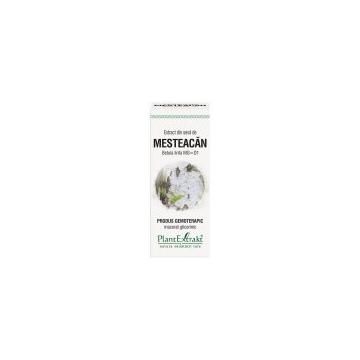 Extract din seva de mesteacan - betula linfa mg=d1 50ml PLANTEXTRAKT