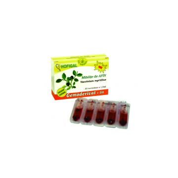 Gemoderivat din mladite de afin - monodoze 30buc HOFIGAL