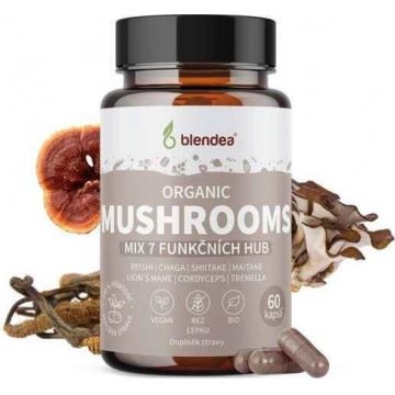 BLENDEA BIO MUSHROOMS ORGANIC 60CPS 1×60 cps