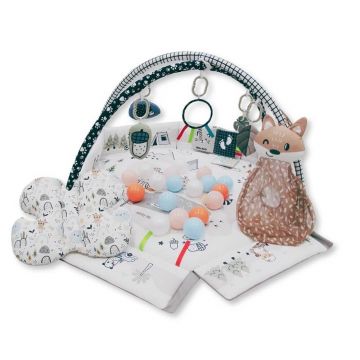 Centru de activitati multifunctional 5 in 1, Minky, Milly Mally