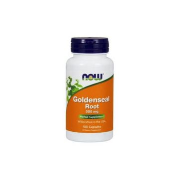 Now Foods Goldenseal Root 500mg 50 capsule