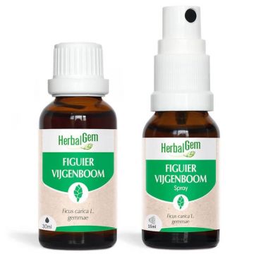 Herbalgem Bourgeons Figuier Bio Solution Buvable 30ml + Spray 15ml
