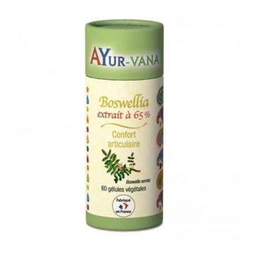 Ayur-Vana Boswellia Extract 65% Joint Wellbeing 60 Capsule Vegetariene