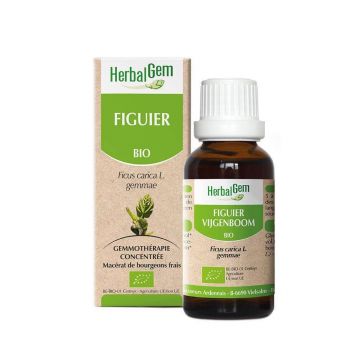 Herbalgem Bio Fig 30ml