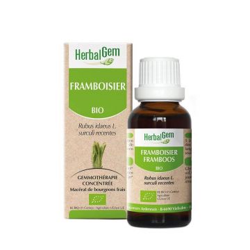 Herbalgem Organic Raspberry 30ml