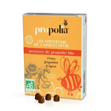 Propolis Gum sirop de agave ghimbir și lămâie organice 45g