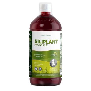 Silicium Laboratories Silicium G7 Siliplant Silicium G7 1L