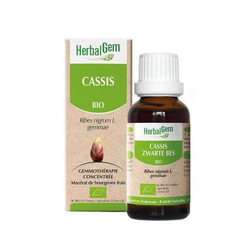Herbalgem Blackcurrant Bio 30ml