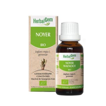 Herbalgem nucă organică 30ml