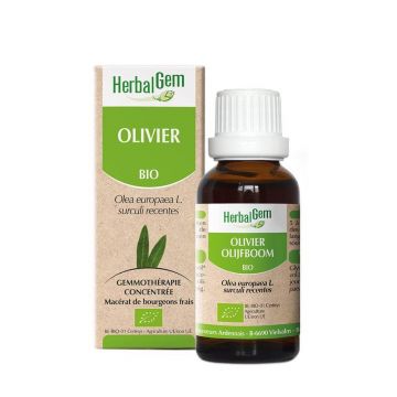 Herbalgem Olive Bio 30ml
