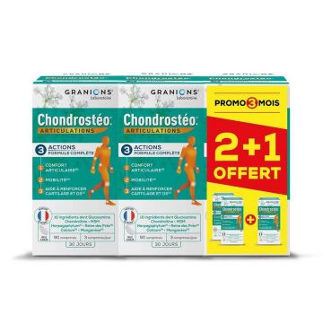 Granions Chondrostéo Chondrosteo Articulations 3x90 Tablete