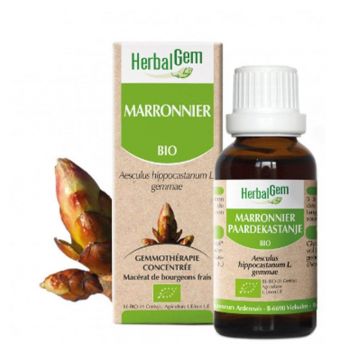 Herbalgem Bourgeons Organic Vein Circular Comfort Horse Chestnut 30ml