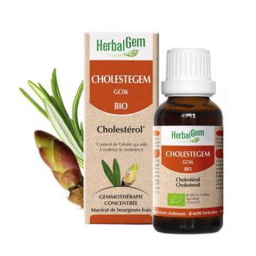 Herbalgem Bourgeons Organic Cholesterol 30ml