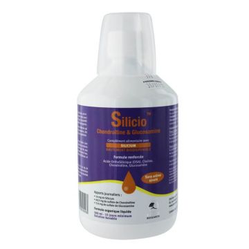 Phytoresearch Silicon Condroitină și Glucozamină 500ml