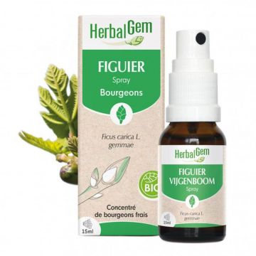 Herbalgem Bourgeons Fig Spray Bio 15ml
