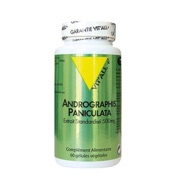 Vit'All+ Andrographis Paniculate 400 mg 60 comprimate