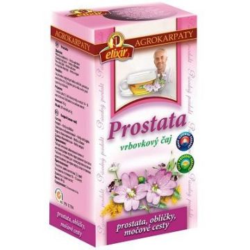 Agrocarps Prostate Willow Tea produs natural, 20 x 2 g