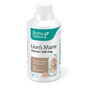 Lion's Mane, 500 mg, 90 capsule, Rotta Natura