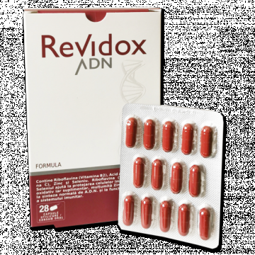 Revidox ADN, 28 capsule, Actafarma