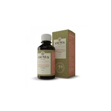 Sirop vitaminizantus 200ml FAUNUS PLANT