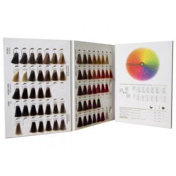 Catalog 124 nuante vopsea MAXIMA Plex, the Art of Color