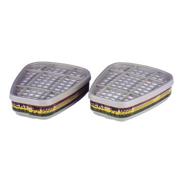 Set 2 filtre combinate A1B1E1K1 (6059)