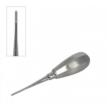 Elevator ascutit drept, maner scurt - Mare