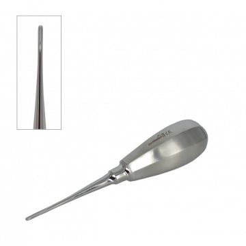 Elevator ascutit drept, maner scurt - Mediu