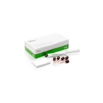 Guttaflow 2 Standard Set fara argint