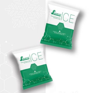 Punga gheata instant Sogeva