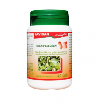 Mesteacan 40 capsule Favisan