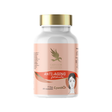Anti-Aging Formula 90 CAPSULE