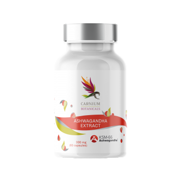 Ashwagandha Extract KSM-66 - 60 CAPSULE