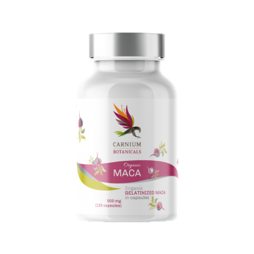 Bio Maca Gelatinizata in capsule , 120 caps