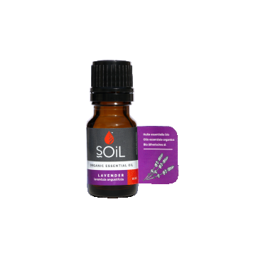 Ulei Esential Lavanda 10 ml SOiL