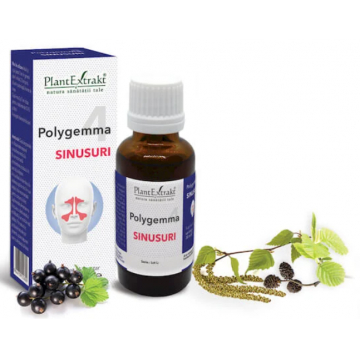 Polygemma 4 - Sinusuri, 50 ml