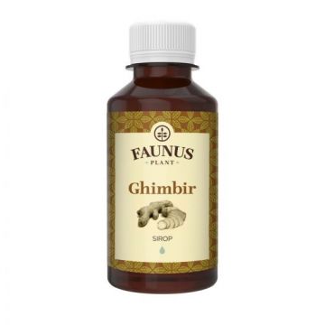 Sirop de ghimbir, 200ml, Faunus Plant