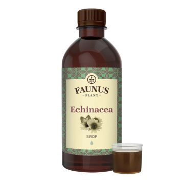 Sirop imunitate cu Echinacea, 500ml, Faunus Plant