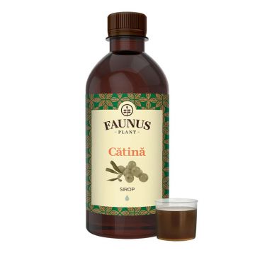 Sirop vitaminizant de Catina, 500ml, Faunus Plant