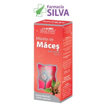 Dacia Plant Mladite de Maces, Gemoderivate x 50 ml