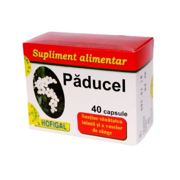 Hofigal Paducel 40 capsule