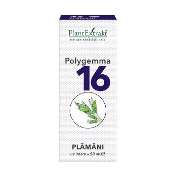 PlantExtrakt Polygemma 16 ( plamani ) x 50 ml