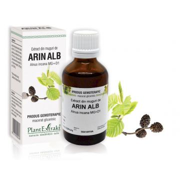 Extract din muguri de Arin Alb, 50ml, PlantExtrakt
