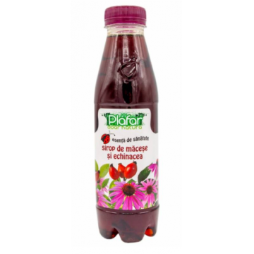 Sirop de macese si echinacea, 500ml, Plafar