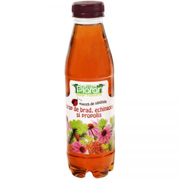 Sirop de muguri de brad, echinacea si propolis, 500ml, Plafar