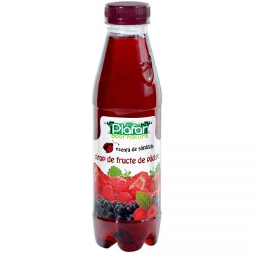 Sirop din fructe de padure, 500ml, Plafar