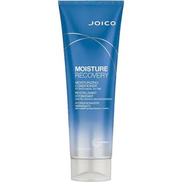 Balsam de par Moisture Recovery, 250ml, Joico