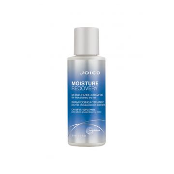 Sampon hidratant Moisture Recovery, 50ml, Joico