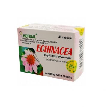Echinacea 500mg 40 capsule Hofigal