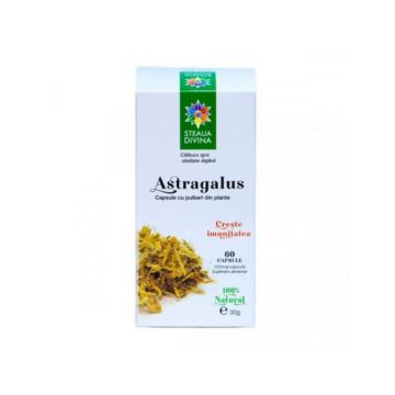 Astragalus, 60 capsule, Steaua Divina